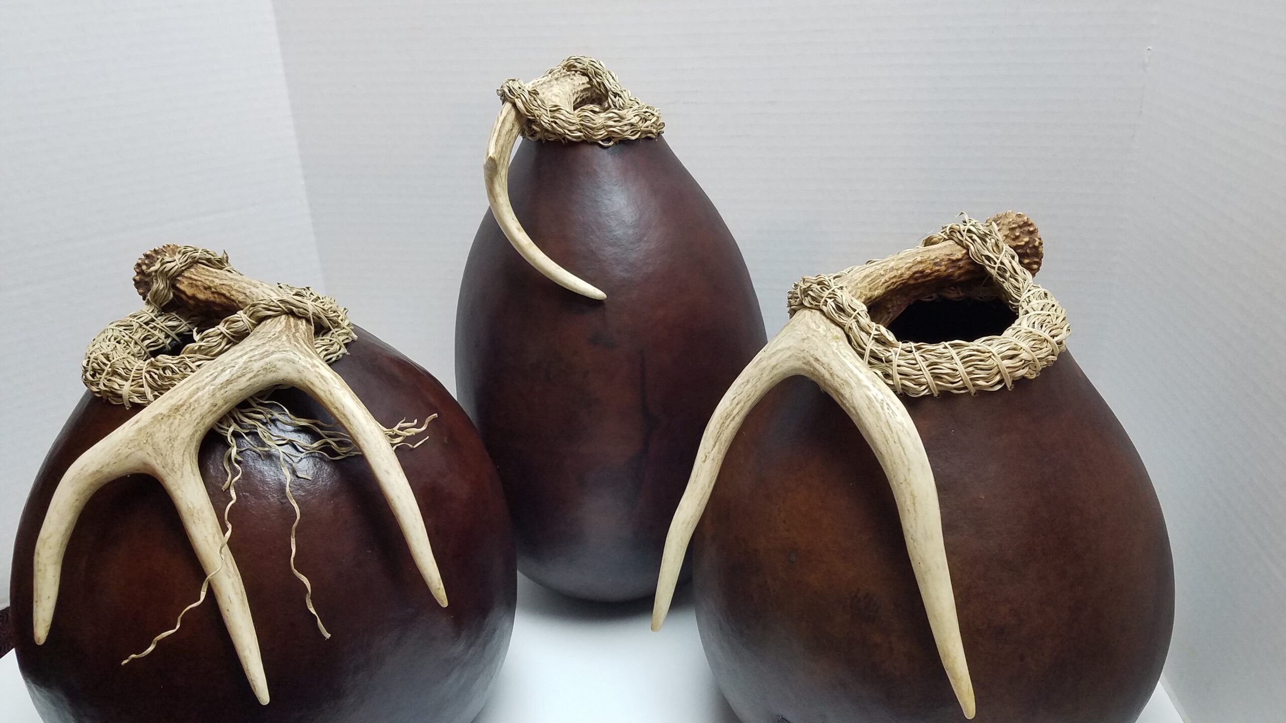 Mixed Media with Gourds with Susan Nonn