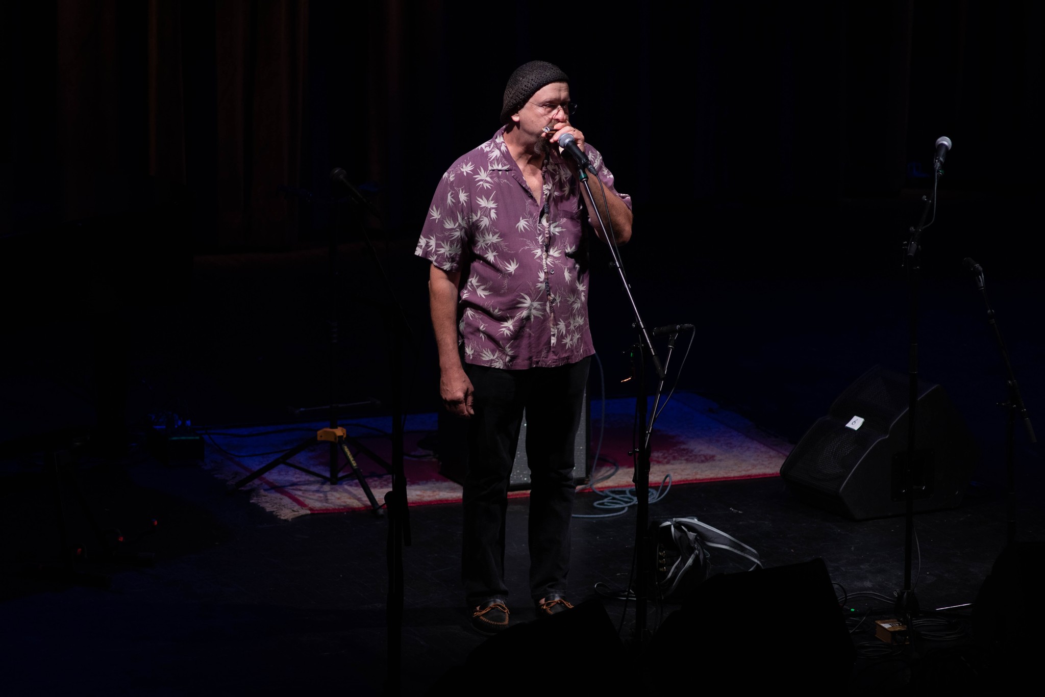Beginning Blues Harmonica with Joe Filisko